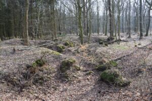 Hyrup Skov