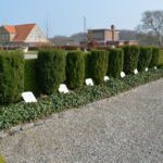 Gravsteder Augustenborg