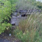 Højerup Hawk nærsikring