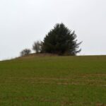 Venbjerg observationsbunker