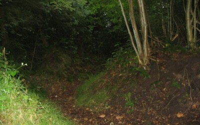 Batteriet Arrild Præsteskov Batteriet i Arrild Præsteskov, batterigraven