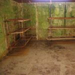 Køjer til kanonmanfskab