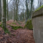 Gammelskov Batteri Batterigraven i Gammelskov Batteri