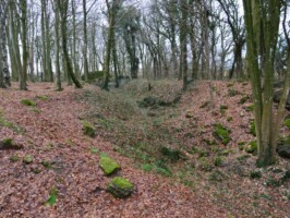 Gammelskov Batteri Batterigrav i Gammelskov Batteri i Sikringsstilling Nord