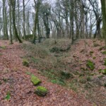 Gammelskov Batteri Batterigrav i Gammelskov Batteri i Sikringsstilling Nord