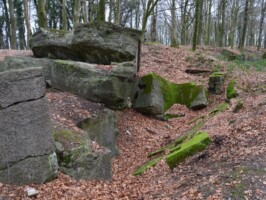 Gammelskov Batteri Kommando- og mandskabsbunker midt i Gammelskov Batteri