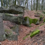 Gammelskov Batteri Kommando- og mandskabsbunker midt i Gammelskov Batteri