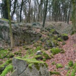 Gammelskov Batteri Vestlige brisk i Gammelskov batteri, Sikringsstilling Nord