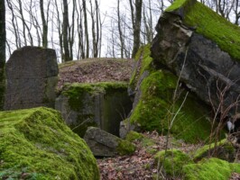 Gammelskov Batteri Ammunitionsmagasin Gammeskov