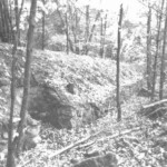 Gammelskov Batteri 1921 Gammelskov Batteri 1921, batterigraven