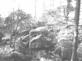 Gammelskov Batteri 1926 Gammelskov Batteri 1926, sprængt bunker