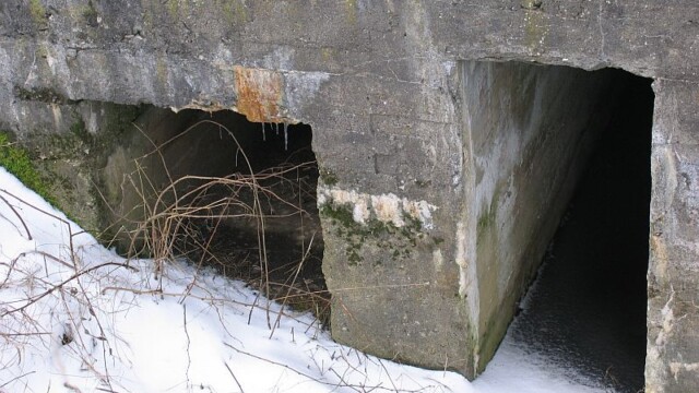 Kalby Plantage Maskingeværbunker i Kalby Plantage, rum til maskingeværet