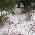 Kalby Rest af skyttegrav i Kalby Plantage