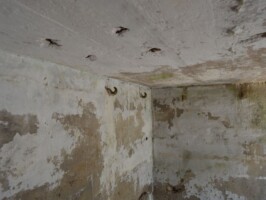 Arrild revolverkanonbunker Tysk revolverkanonbunker i Arrild, mandskabsrum med køjekroge