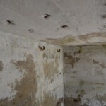 Arrild revolverkanonbunker Tysk revolverkanonbunker i Arrild, mandskabsrum med køjekroge