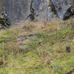 Lerskov Batteri Bolte til kanonen i brisken i Lerskov Batteri