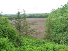 Pothøj Skudvinkel fra revolverkanonbunker på Pothøj