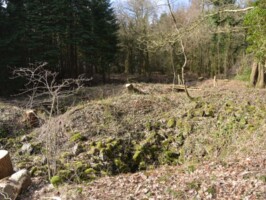 Batteriet i Allerup Krat Sikringsstilling Nord i Allerup Krat