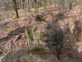 Batteriet i Allerup Krat Batteriet i Allerup Krat, batterigraven