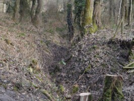 Batteriet i Allerup Krat Batteriet i Allerup Krat