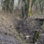 Batteriet i Allerup Krat Batteriet i Allerup Krat