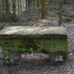 Batteriet i Allerup Krat Allerup Krat Batteri, tømmerrum "Brunnen"