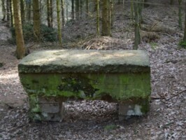 Batteriet i Allerup Krat Allerup Krat Batteri, tømmerrum "Brunnen"