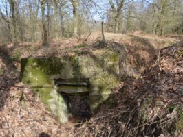 Batteriet i Allerup Krat Batteriet i Allerup Krat, tømmerrum