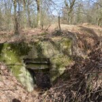 Batteriet i Allerup Krat Batteriet i Allerup Krat, tømmerrum