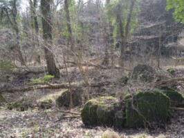 Batteriet i Allerup Krat Rest af bunker, battteriet i Allerup Krat, Sikringsstilling Nord