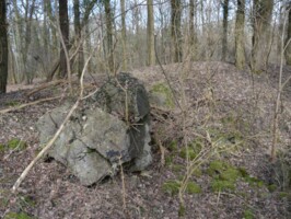 Batteriet i Allerup Krat Sprængt bunker i Allerup Krat