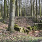 Hyrup skov Batteriet i Hyrup skov