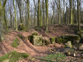 Batteriet i Hyrup Skov Rester af Batteriet i Hyrup Skov, batteriområdet