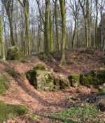 Batteriet i Hyrup Skov Rester af Batteriet i Hyrup Skov, batteriområdet