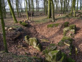 Batteriet i Hyrup Skov Batteriet i Hyrup Skov, batteriområdet