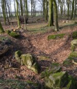 Batteriet i Hyrup Skov Batteriet i Hyrup Skov, batteriområdet