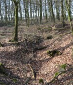 Batteriet i Hyrup Skov Batteriet i Hyrup Skov, batterigraven