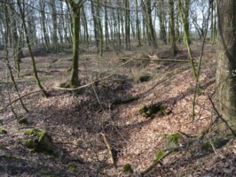 Batteriet i Hyrup Skov Batteriet i Hyrup Skov, batterigraven