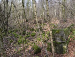 Batteriet i Hyrup Skov Rester efter Batteriet i Hyrup Skov, Sikringsstilling Nord