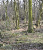 Batteriet i Hyrup Skov Batteriet i Hyrup Skov, batterigraven