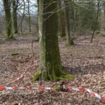 Rester af skyttegrave Allerup Krat rest af skyttegrave