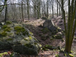 Gammelskov Batteri Den østlige ammunitionsbunker i Gammelskov Batteri