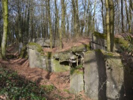 Gammelskov Batteri Gammelskov Batteris østlige ammunitionsbunker