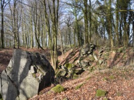 Gammelskov Batteri Gammelskov Batteri, østlige ammunitionsbunker