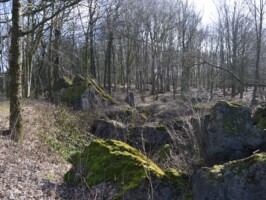 Gammelskov Batteri Gammelskov Batteri set fra vest