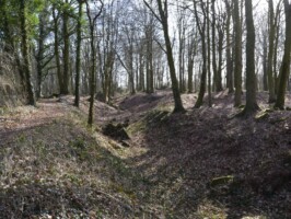 Gammelskov Batteri Batterigrav øst i Gammelskov Batteri