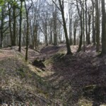 Gammelskov Batteri Batterigrav øst i Gammelskov Batteri