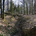 Gammelskov Batteri Gammelskov Batteri, Batterigrav vest