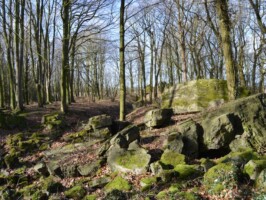 Gammelskov Batteri Gammelskov Batteri, den østlige brisk