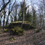 Gammelskov Batteri Gammelskov Batteri, en af de store briske, underlag for kanon